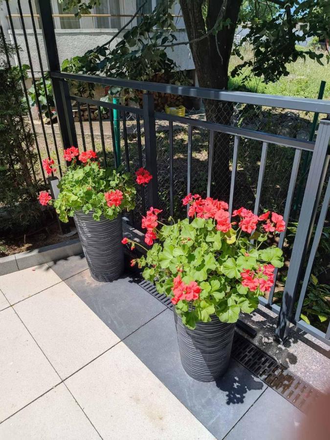 Apartament Kali Ahtopol Kültér fotó